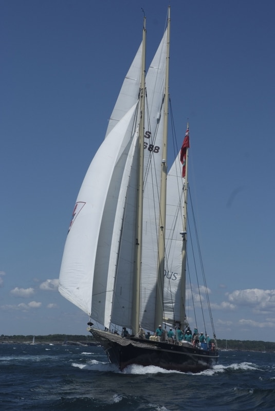 Photos From The Newport Bermuda Race Start Cruising World