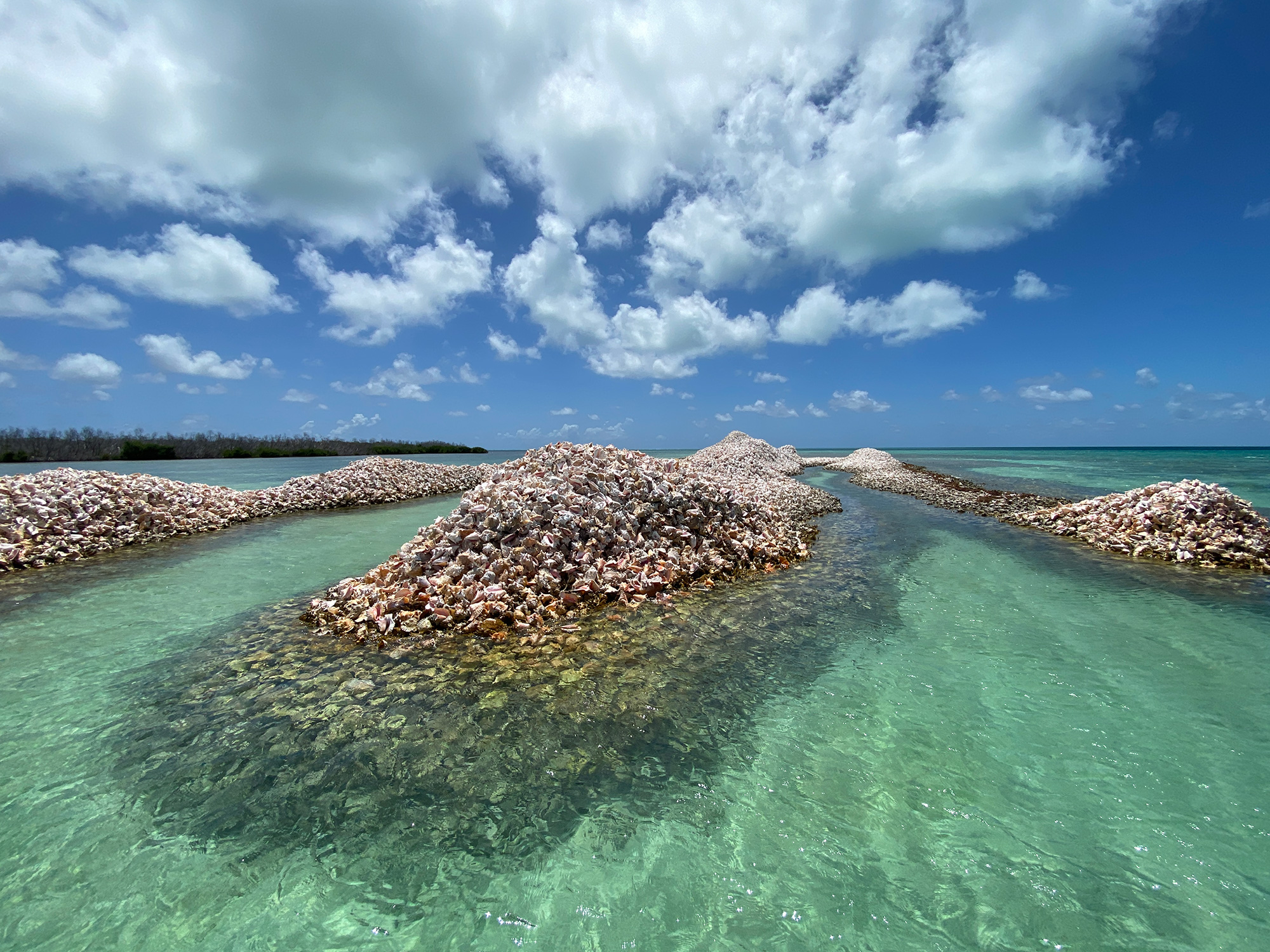 10 Gems of the BVI | Cruising World