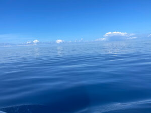 Calm sea