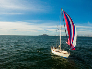 Avocet sailing