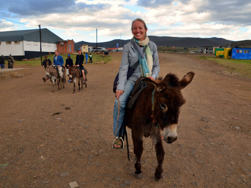 Donkey pub crawl, Lesotho