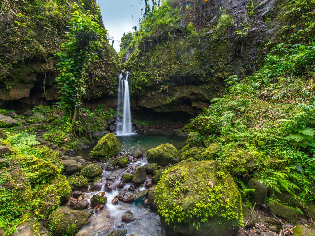 Emeralds Pool of Dominica