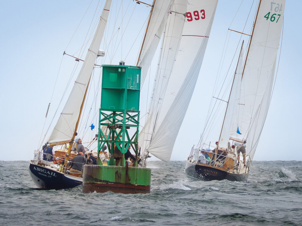 Opera House Regatta