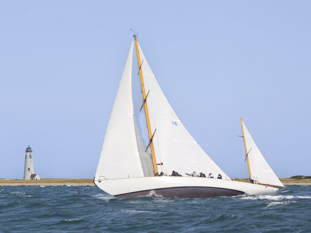 Opera House Regatta