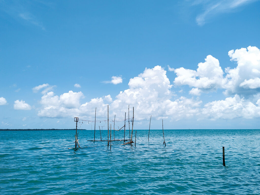 Bamboo fishing traps