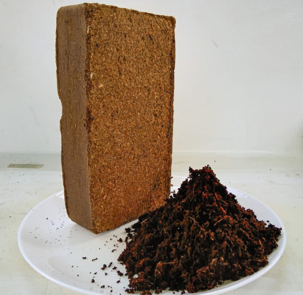 coconut coir