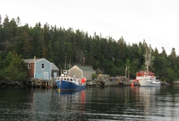 Three cabins, two fishing boats, and a skinny little stretch of water provided the entire New Harbor experience.