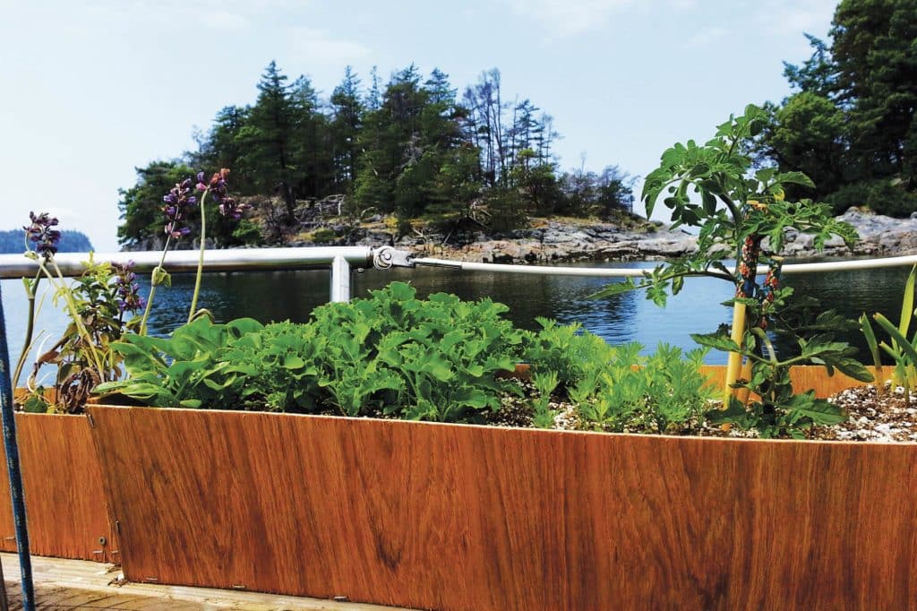 growing plants on a sailboat