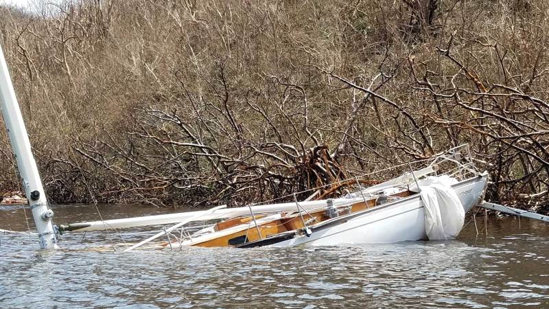sailboat submerged on a shorline