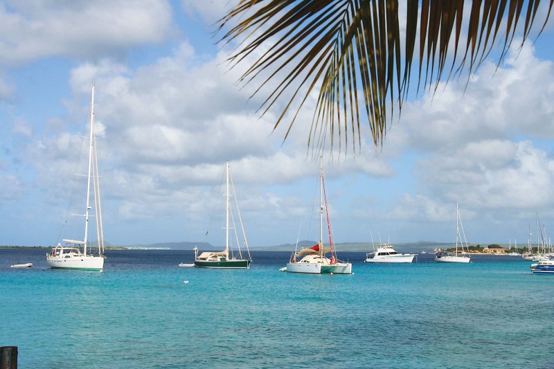 CRW0414_FEA3_Bonaire (Gould)