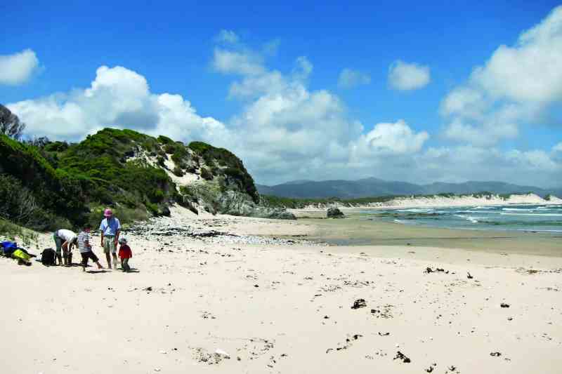 port_davey6