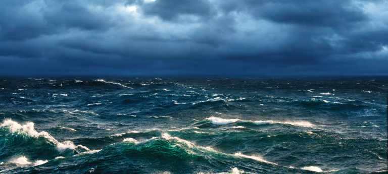 Witnessing Wonder in Marine Sanctuaries