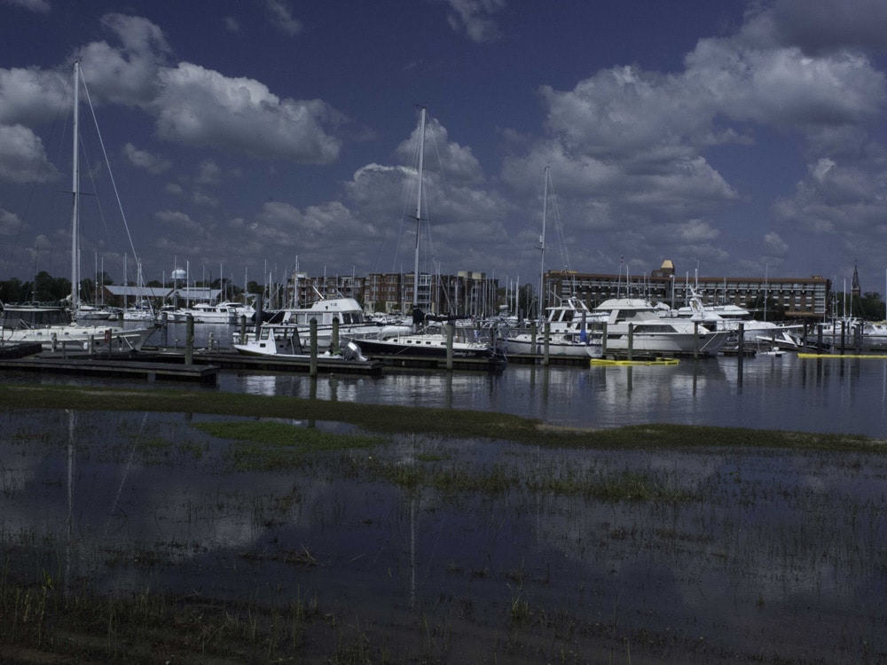 Bridgepoint Marina