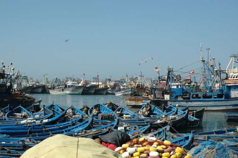 essouira-port.jpg