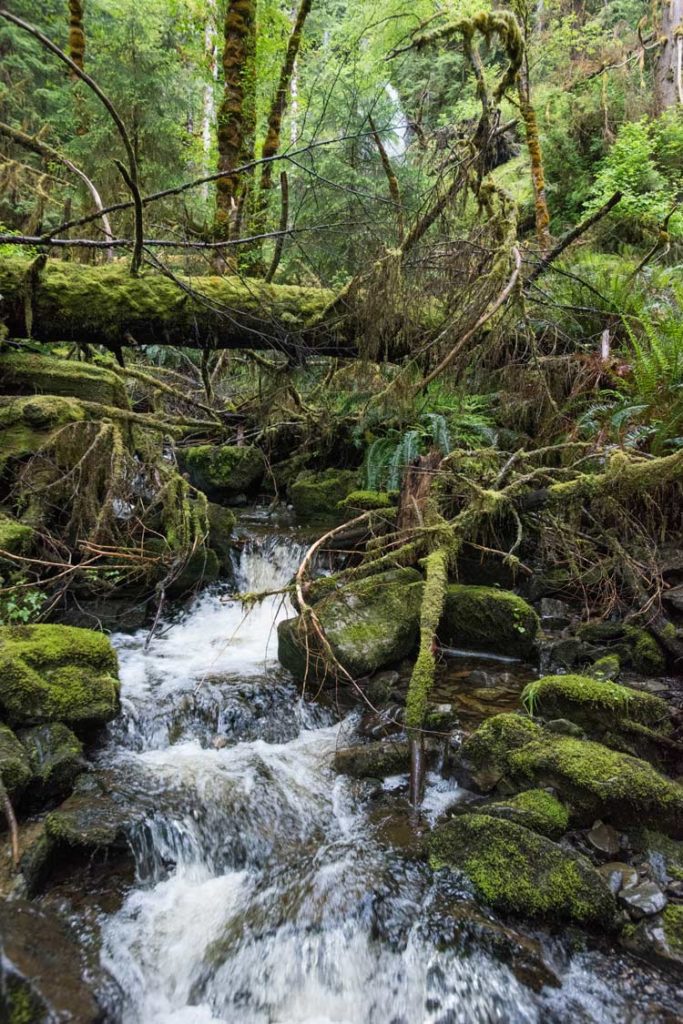 Haida Gwaii waterfall