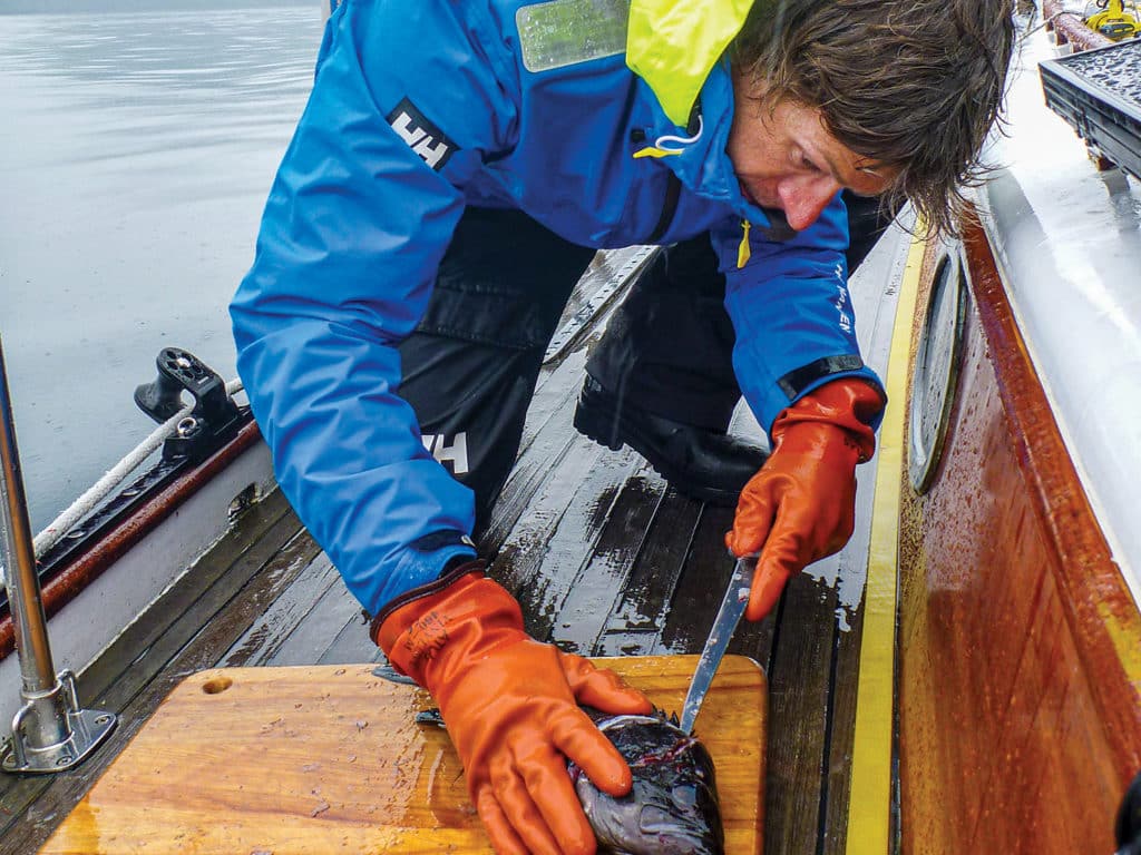 Filleting a rockfish