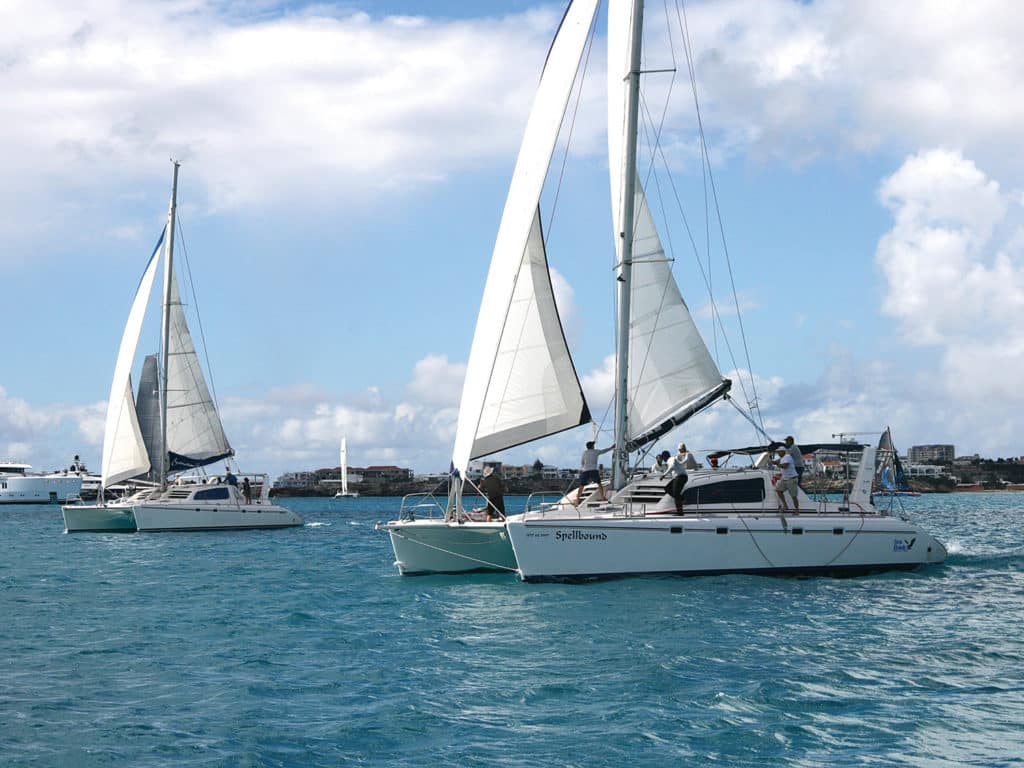 Leopard catamarans