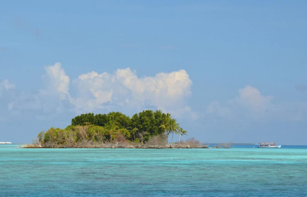 small island with dying foliage