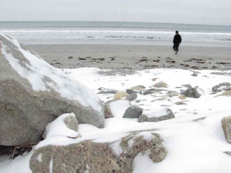 The shells we scavenged at the beach in early spring had lovely ice formations inside.