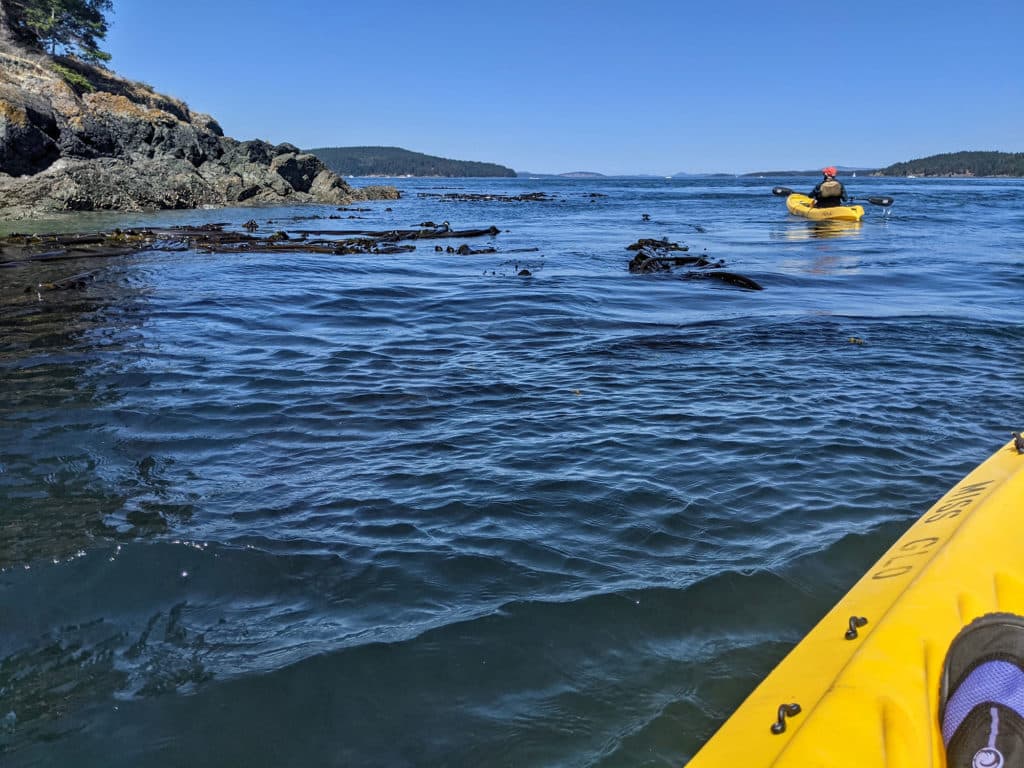 kayaking