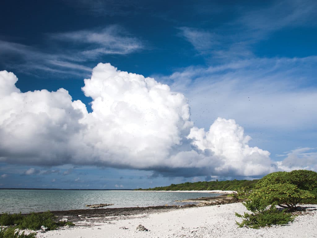 squalls gathering