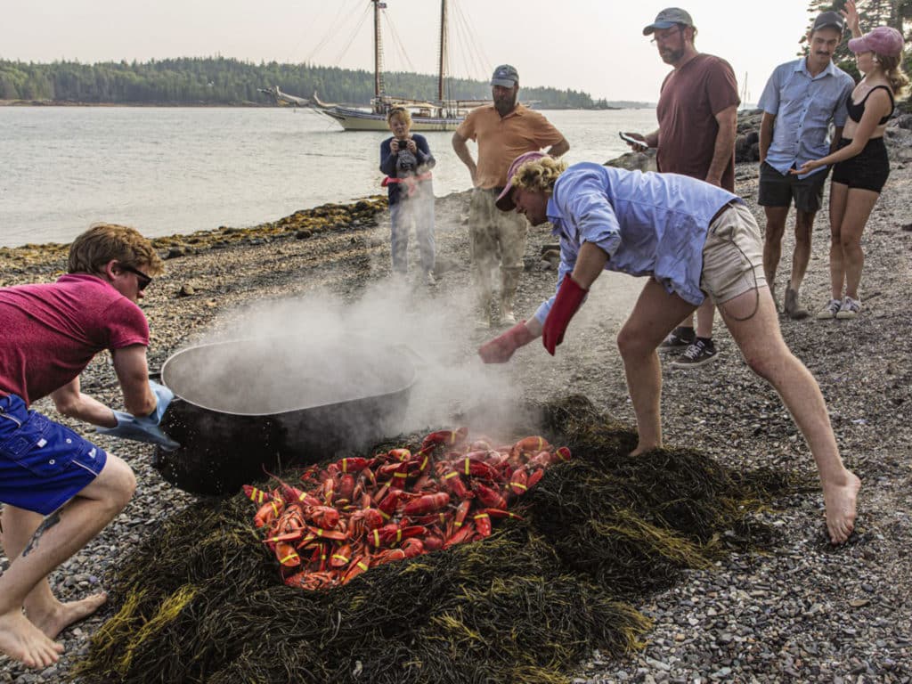 Lobster steaming