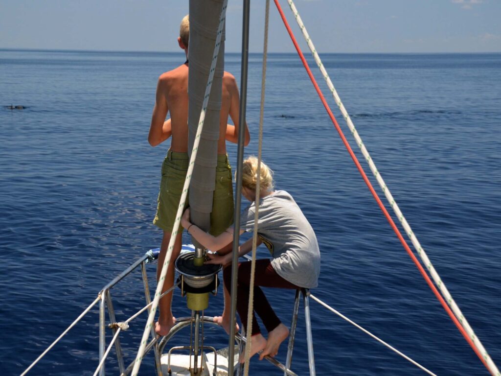 whale watching in the Maldives