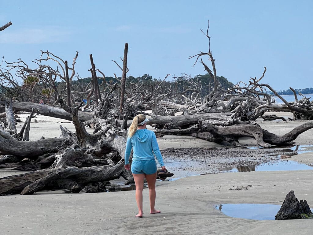 Driftwood on Jekyll Island