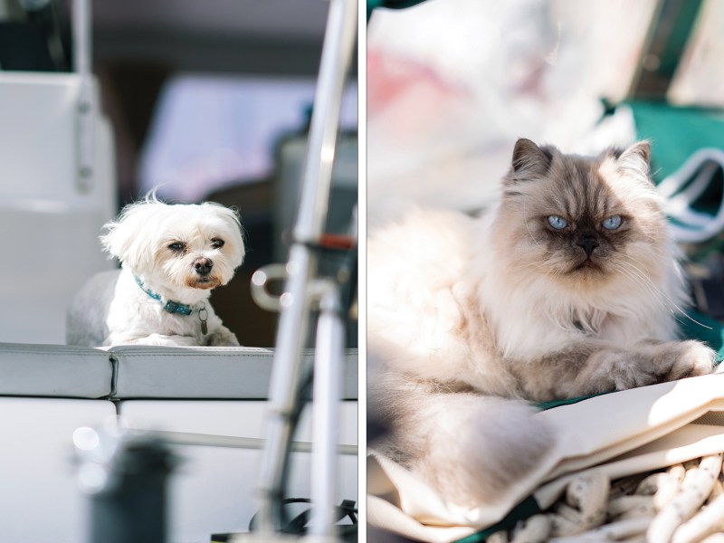 Benji and Cappucino