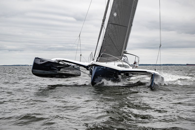 Dragonfly 36