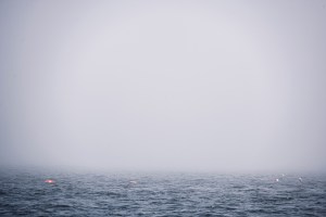 A foggy Maine morning