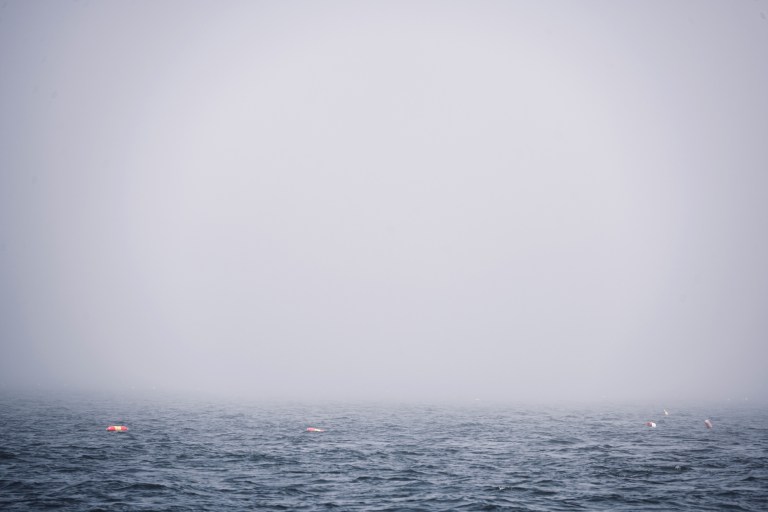 Lost_in_the_Midwest_AdobeStock_481904610 A foggy Maine morning