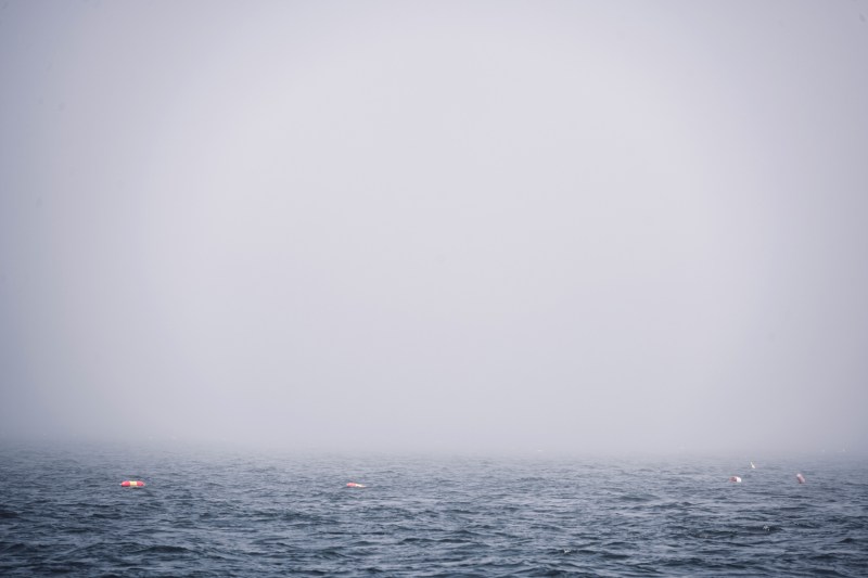 A foggy Maine morning